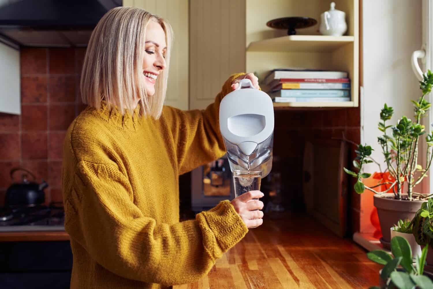 pur water filter vs brita