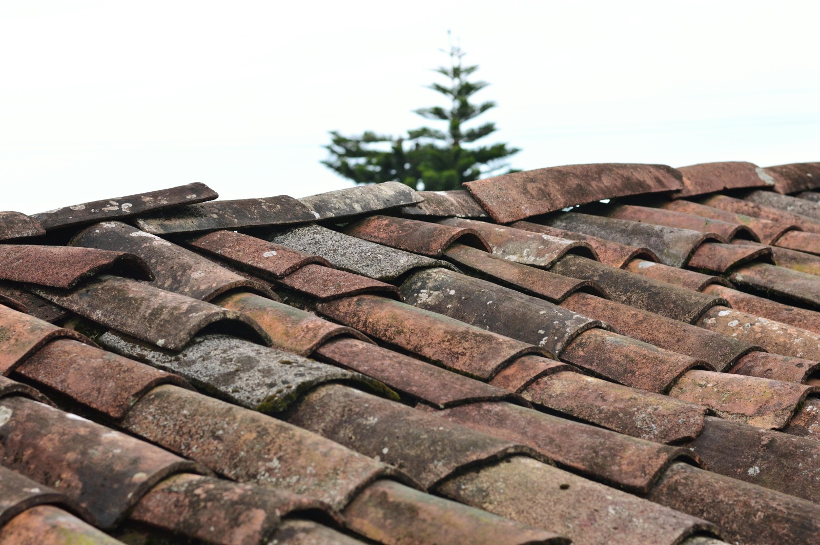 High-Quality Roofing in Covington, LA – Free Estimates Available