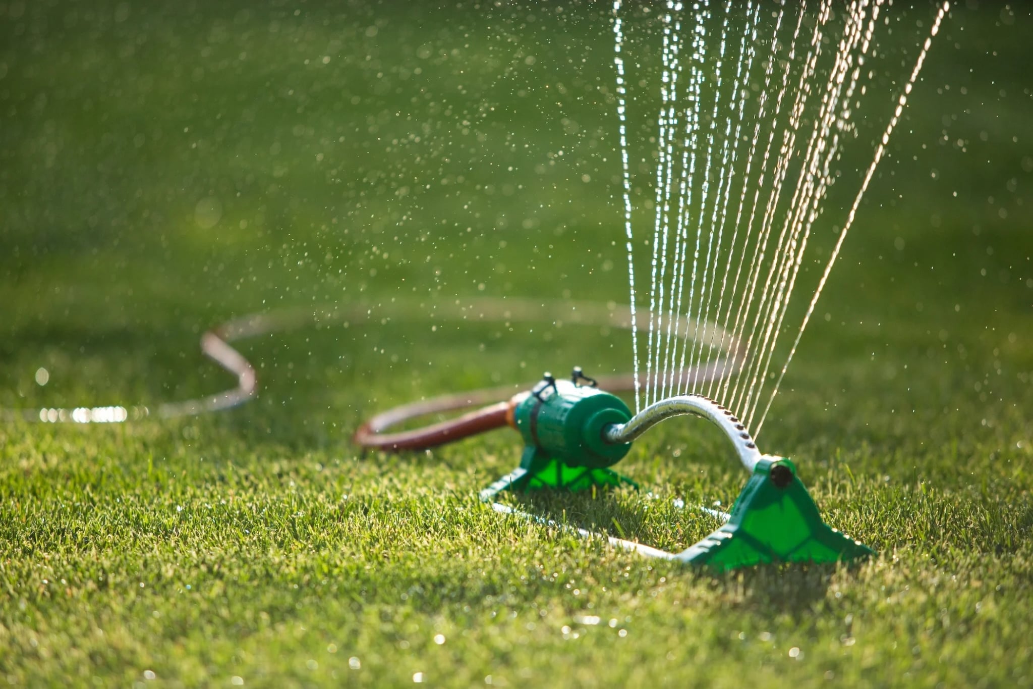 Top-Rated Expert Drainage Services in Saginaw , TX by Local Specialists
