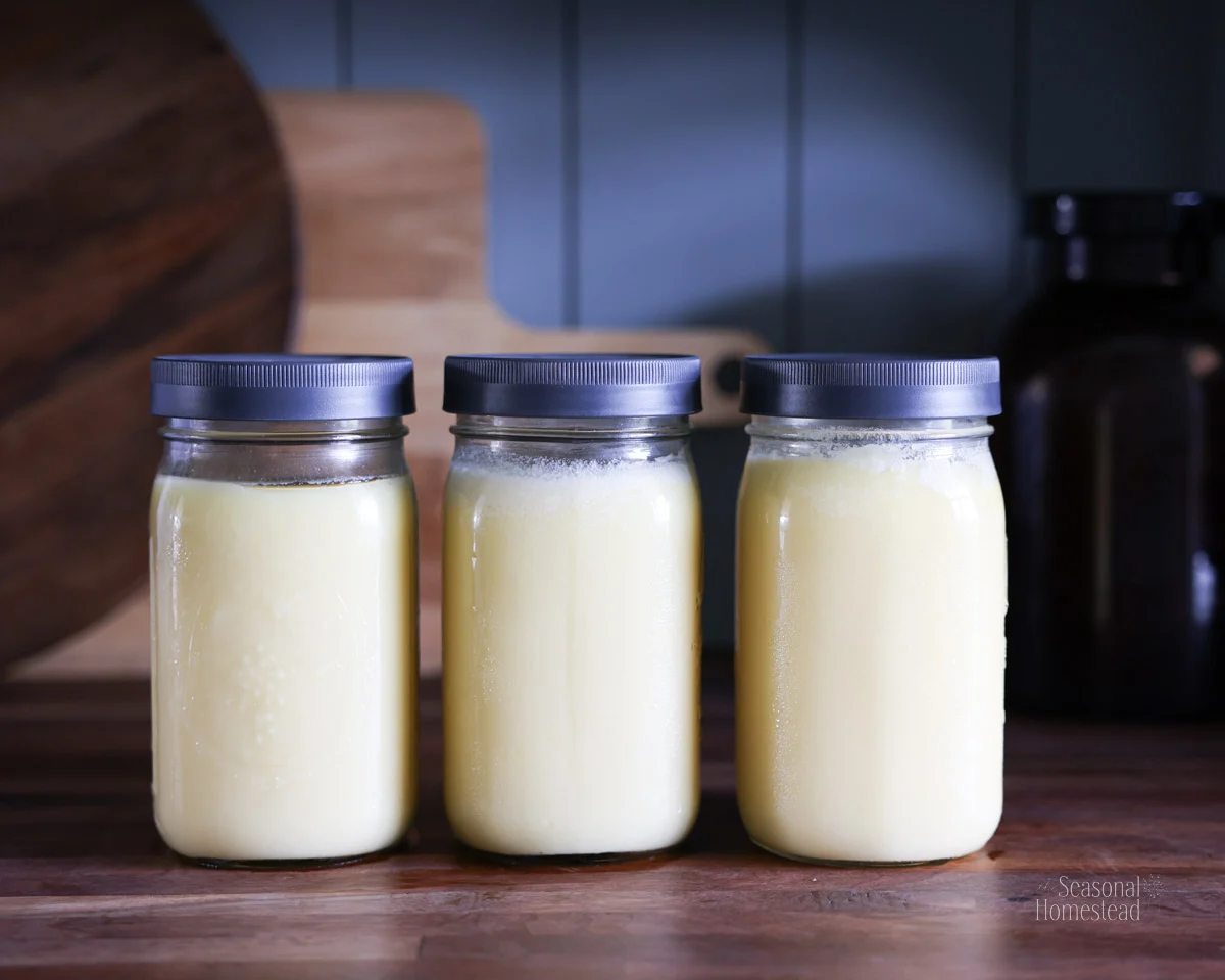 The Return of Organic Beef Tallow in Clean Cooking