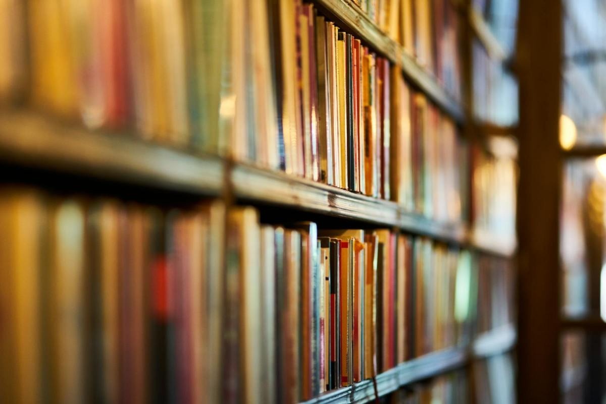 Why the Raynes Legacy Series is a Must-Read Fantasy Epic