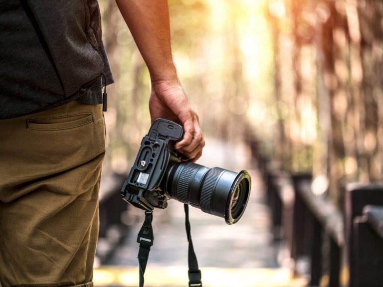 become-professional-wildlife-photographer-1200x900-cropped